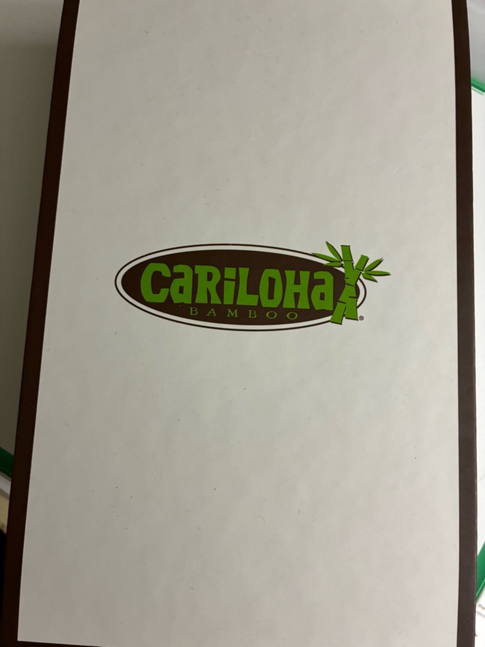 Cariloha Bamboo King Size Pillow Cases (2) Ocean Mist